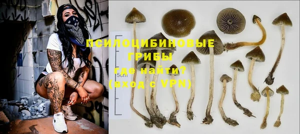гидра Михайлов
