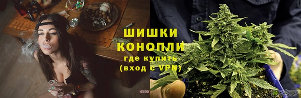 сатива Наволоки