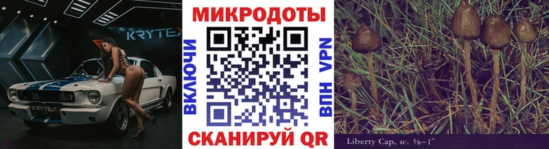 Псилоцибиновые грибы мицелий  Купить закладки  Протвино 